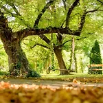 Hotel Forster Vadászkastély Wellness és Konferencia