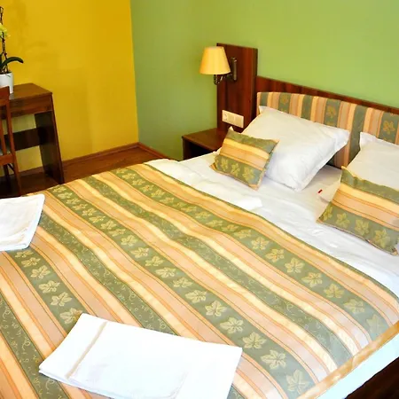 Forster Vadaszkastely Wellness Es Konferencia Szalloda Hotel 3*