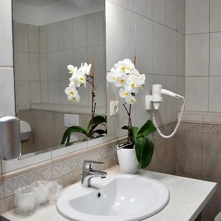 Forster Vadaszkastely Wellness Es Konferencia Szalloda 3* Bugyi