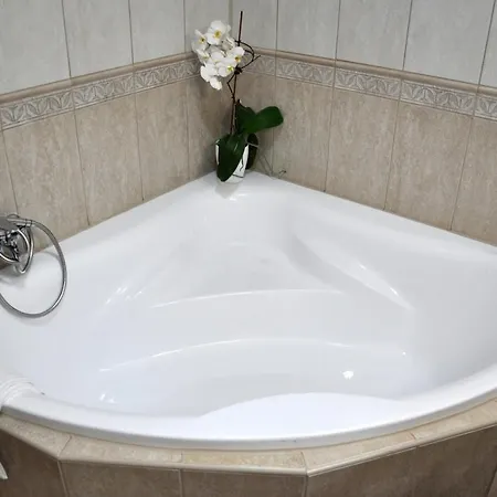 Forster Vadaszkastely Wellness Es Konferencia Szalloda Отель Bugyi