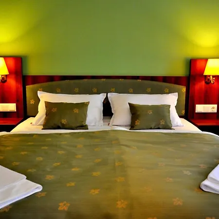 Forster Vadaszkastely Wellness Es Konferencia Szalloda 3*