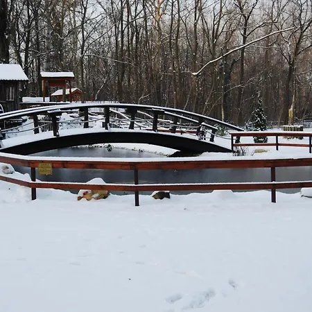 Отель Forster Vadaszkastely Wellness Es Konferencia Szalloda 3*