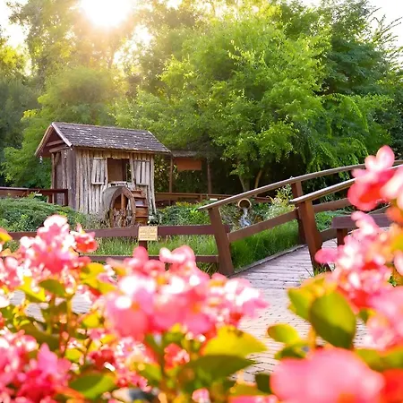 Forster Vadaszkastely Wellness Es Konferencia Szalloda Hotell 3*