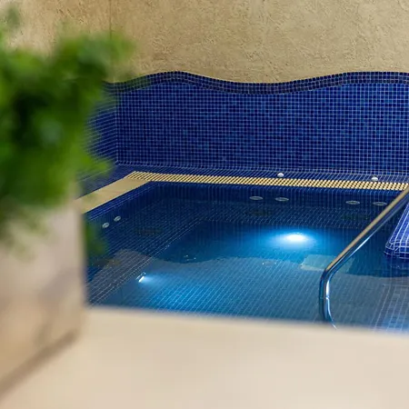 Hotel Forster Vadaszkastely Wellness Es Konferencia Szalloda