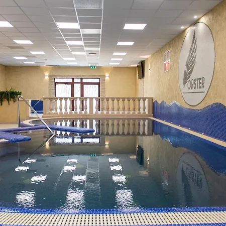 Hotell Forster Vadaszkastely Wellness Es Konferencia Szalloda 3*