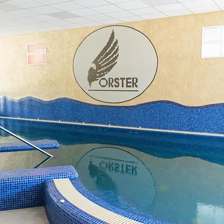 Forster Vadaszkastely Wellness Es Konferencia Szalloda 3*