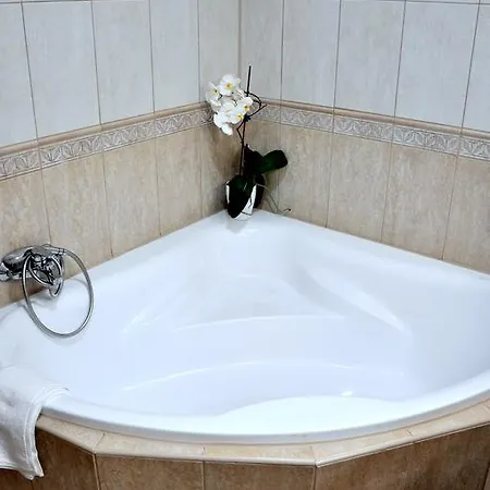 Forster Vadaszkastely Wellness Es Konferencia Szalloda 3*