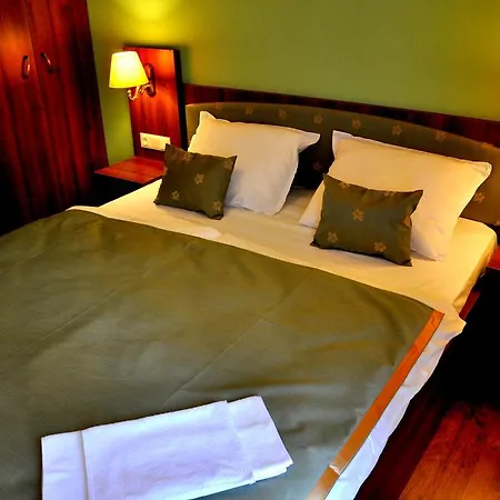 Forster Vadaszkastely Wellness Es Konferencia Szalloda Hotel