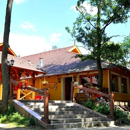 Forster Vadaszkastely Wellness Es Konferencia Szalloda 3* Bugyi