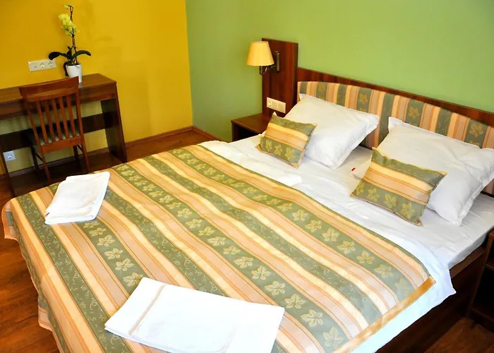 Forster Vadaszkastely Wellness Es Konferencia Szalloda Hotell 3*