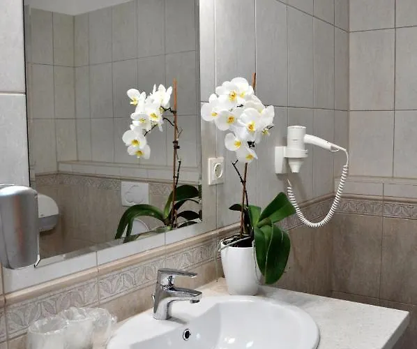 Forster Vadaszkastely Wellness Es Konferencia Szalloda 3* Bugyi