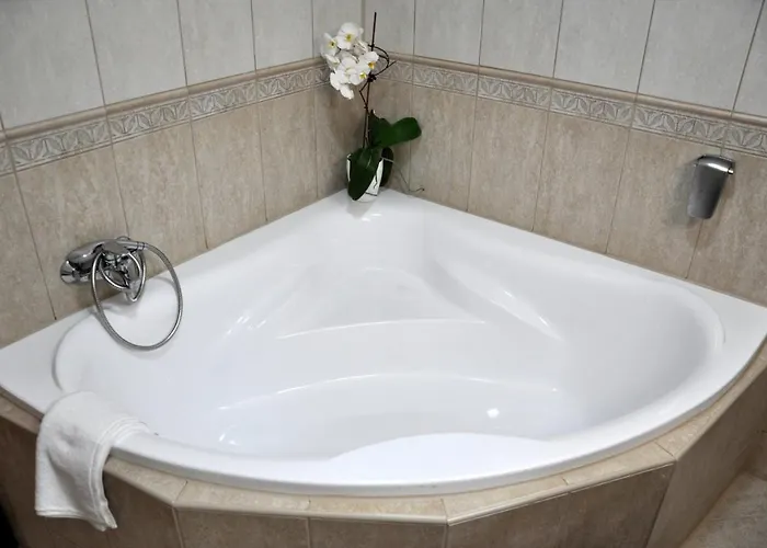 Forster Vadaszkastely Wellness Es Konferencia Szalloda Hotell Bugyi