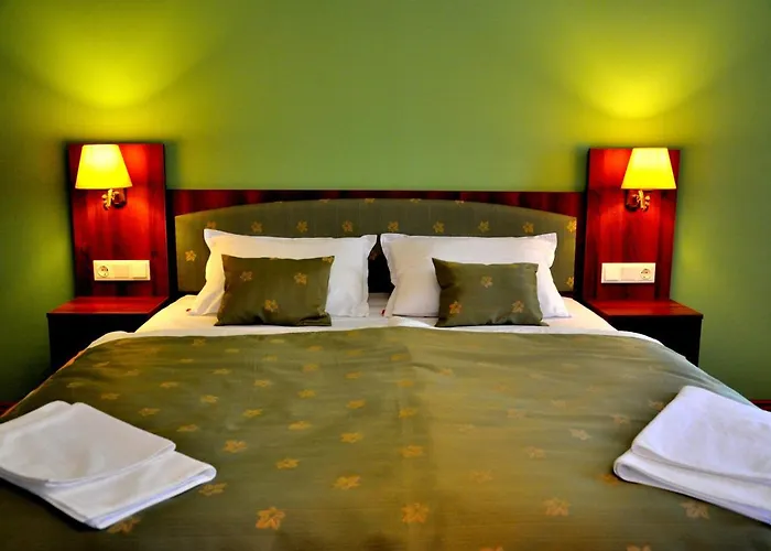 Forster Vadaszkastely Wellness Es Konferencia Szalloda 3*