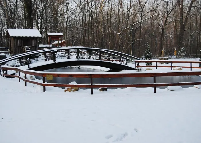 Hotell Forster Vadaszkastely Wellness Es Konferencia Szalloda 3*