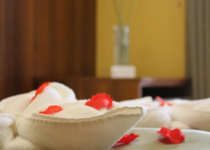 Forster Vadaszkastely Wellness Es Konferencia Szalloda 3* Bugyi