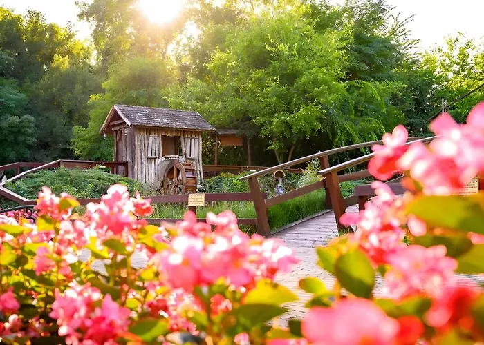 Forster Vadaszkastely Wellness Es Konferencia Szalloda Hotell 3*