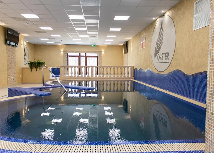 Hotell Forster Vadaszkastely Wellness Es Konferencia Szalloda 3*