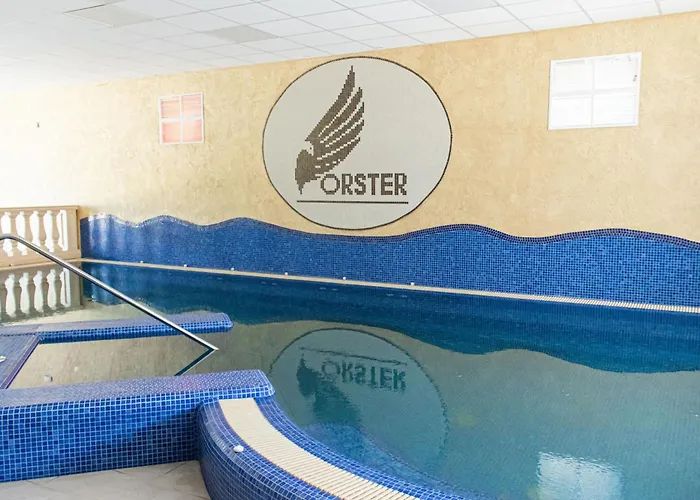 Forster Vadaszkastely Wellness Es Konferencia Szalloda 3*