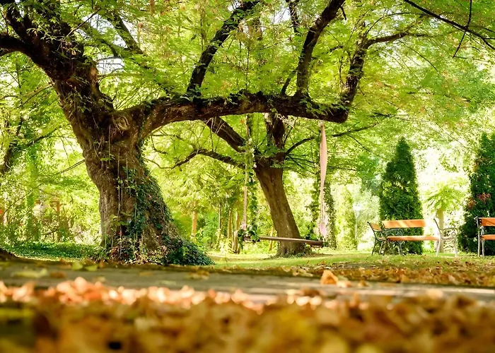 Hotell Forster Vadaszkastely Wellness Es Konferencia Szalloda