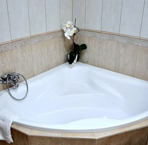 Forster Vadaszkastely Wellness Es Konferencia Szalloda 3*