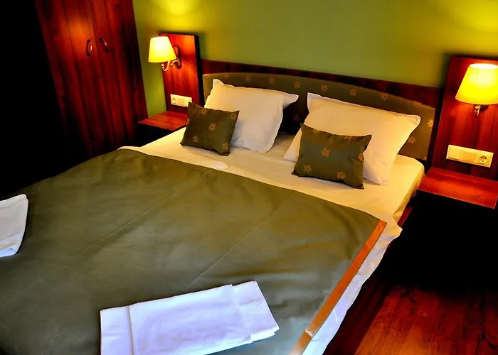 Forster Vadaszkastely Wellness Es Konferencia Szalloda Hotell